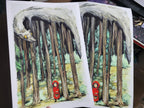 Little Red Riding Hood - Digital Print